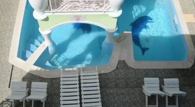 Villa Kissen, Prenota Hotel Hotel a Mauritius Costa Nord con piscina, Piscina