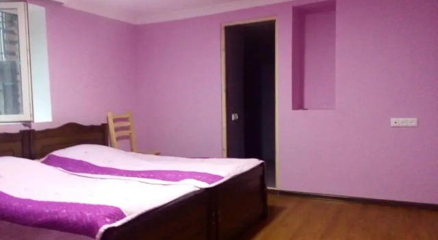 Номер Classic Borjomi Makvalas Guest House
