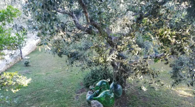 Студия Trulli Bosco Selva
