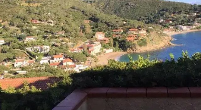 Apartment Capoliveri Punta Morcone bilo