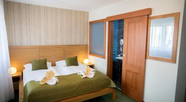Двухместный номер Standard Hotel Bystrina
