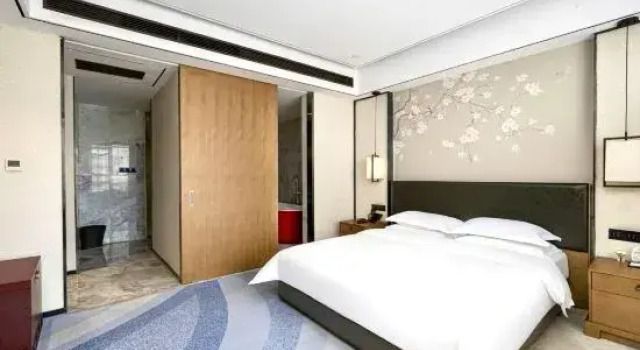 Suite Superior Aroma Hotel