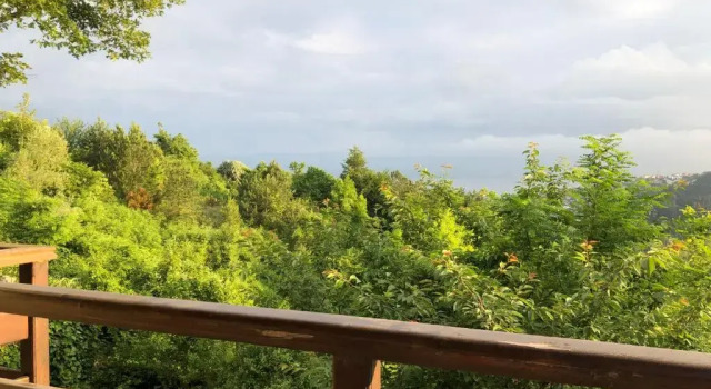 Шале Happy House Bungalov Sapanca 1 Şükriye köyü iç yolu 4010 sokak 15