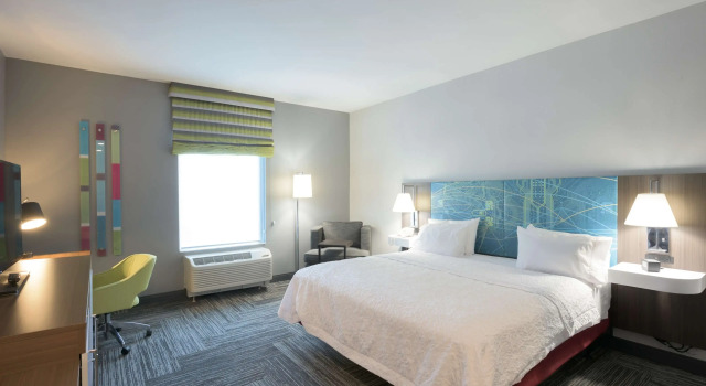Hampton Inn Buffalo-Hamburg