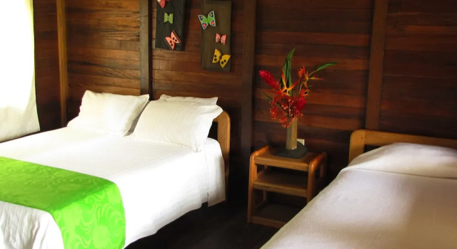 Standard famille chambre Playa de Oro Lodge