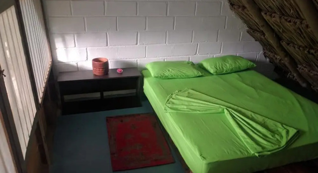 Номер Standard El Zoo Hostel, Bar & Pool