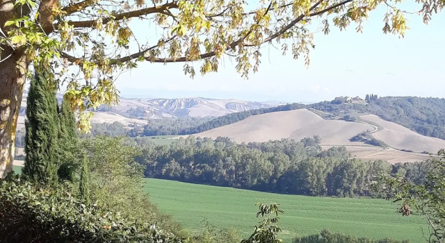 Апартаменты c 1 комнатой San Lorenzo Agriturismo