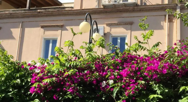Апартаменты B&B Rosita