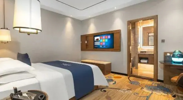 Люкс Executive Kamston International Hotel