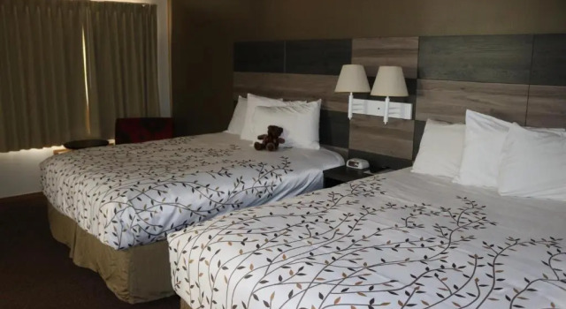 Семейный люкс Roosevelt Inn Mount Rushmore