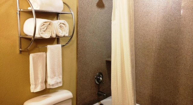 Люкс c 1 комнатой Holiday Inn Express Hotel & Suites Waller by IHG