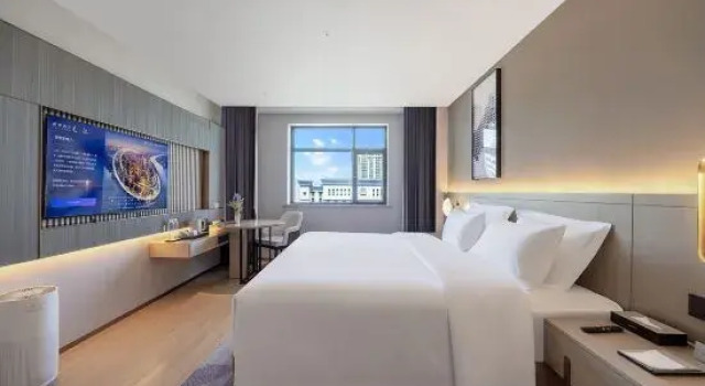 Люкс Deluxe Lavande Hotel  (Urumqi Changchun Road Innovation Square Branch)