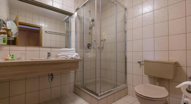Номер Standard Fränkischer Hof
