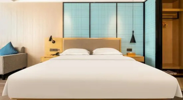 Люкс Standard Vienna Smart Hotel (Nanning Sports Center Dashadi Metro Station Branch)