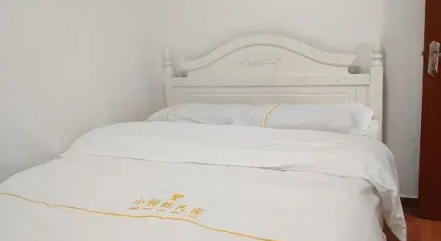 Люкс Shenzhen Little Forest Homestay
