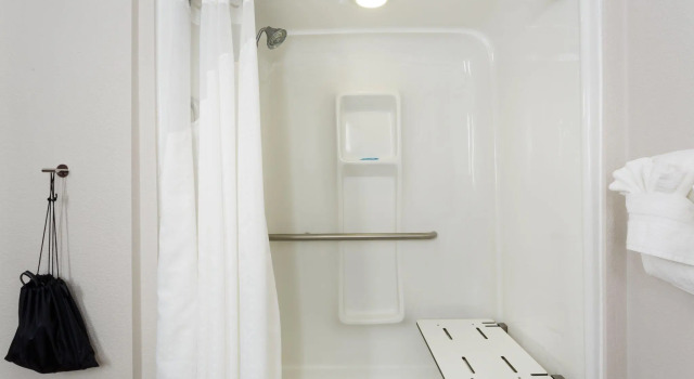 Двухместный люкс Holiday Inn Express Hotel & Suites Tampa-Fairgrounds-Casino by IHG