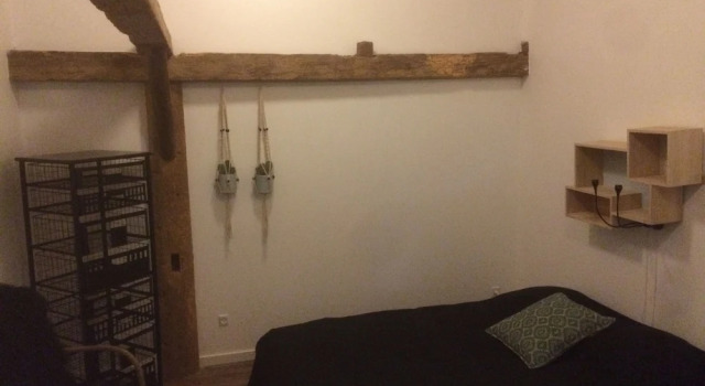 Апартаменты Adventure Park Apartments