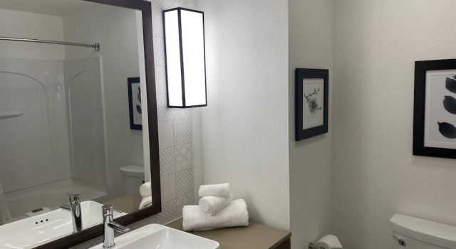 Двухместный люкс Country Inn & Suites by Radisson, RJ Stadium - Tampa Airport East