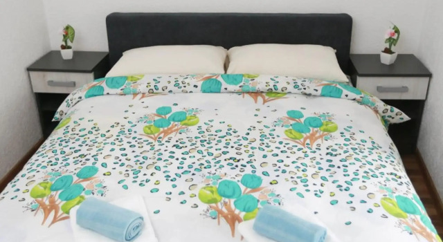 Apartman Vlacic