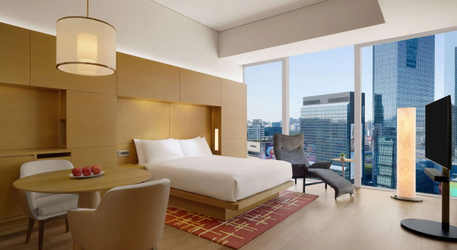 Двухместный номер Deluxe с видом на город Park Hyatt Seoul