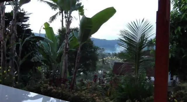 Lila Stana - Sidemen Homestay, Rezervovat Hotel Hotely v Bali se snídaní, Snídaně