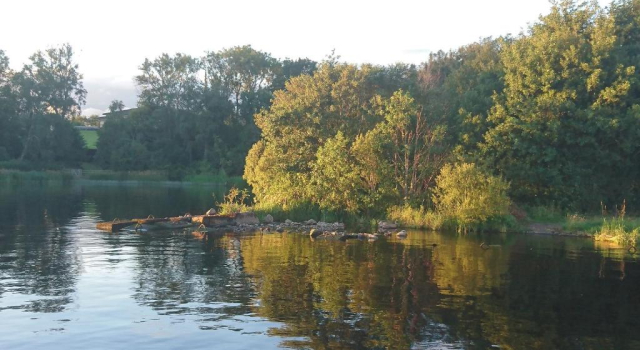 Rossclare Lodge, Book Hotel Hoteller i Fermanagh County med morgenmad, Morgenmad