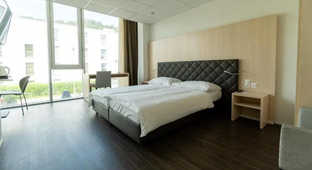 Студия Deluxe Los Lorentes Apartments Bern Airport