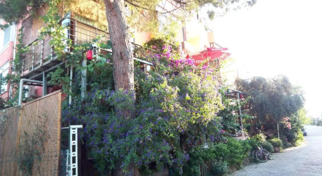 Номер Standard Izmir Tatil Evi Beach Resort