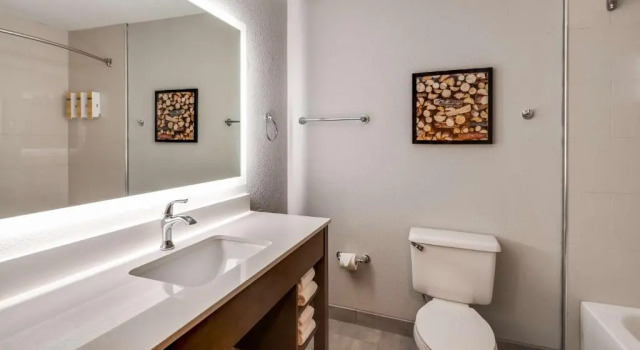 Двухместный люкс c 1 комнатой Best Western Plus Bourbonnais Hotel & Suites