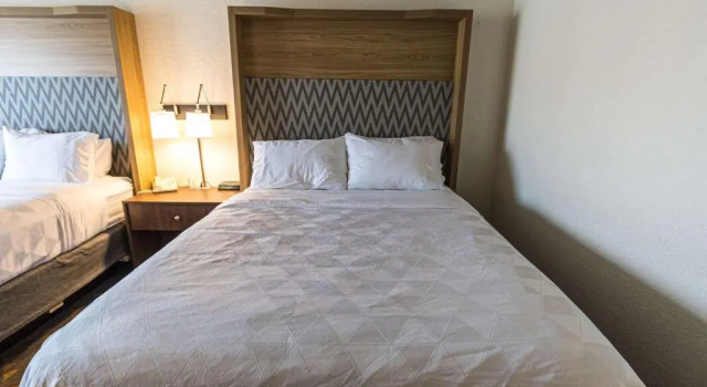 Четырёхместный номер Standard Wyndham Flint MI Grand Blanc Bishop Airport Conference Ct