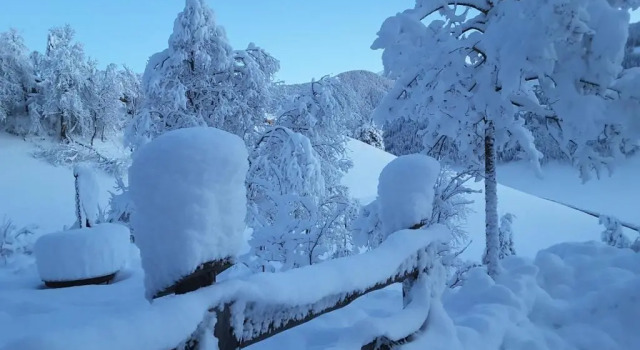 Номер Standard Silentium Dolomites Chalet