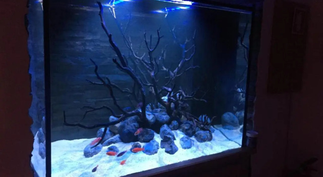 Апартаменты Aquarium House