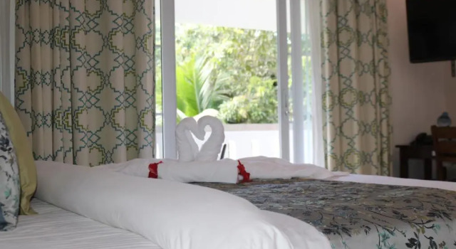Supérieure double chambre Mountain View Hotel