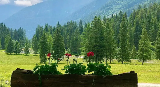 Коттедж Suite Italy Pinzolo