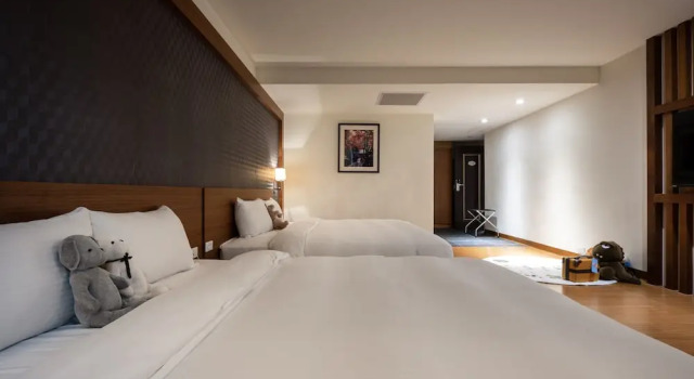 Семейный номер Deluxe Hotel Bonza