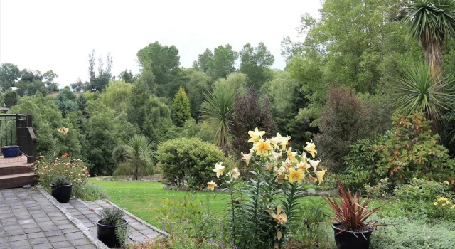 Одноместный люкс Цокольный этаж Riverstone House