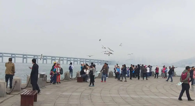 Xinghai Exhibition Center Apartment, Book Apartment Shahekou 