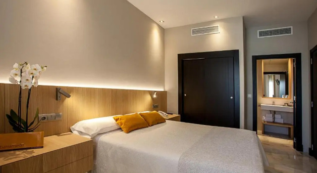 Двухместный номер Standard Hotel Barrameda
