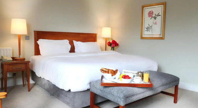 Двухместный номер Standard Ballymascanlon Hotel and Golf Resort