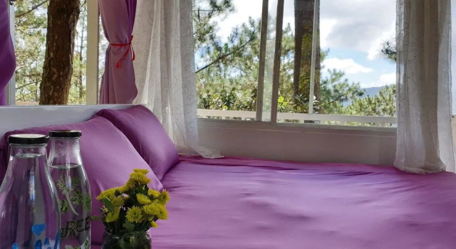Pine Hill Homes Dalat, Book Hotel Da Lat Lam Dong