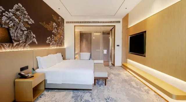 Люкс Deluxe Jingdezhen Grand Skylight Hotel