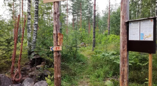 Nestorinranta Resort, Prenota Resort Lintusalo Saimaa