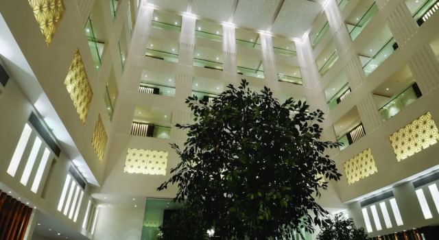 Номер Superior Le Meridien, Surat