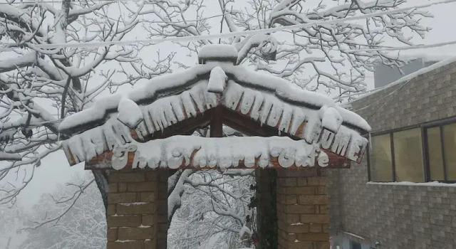 Kasar Himalaya Holiday Resorts