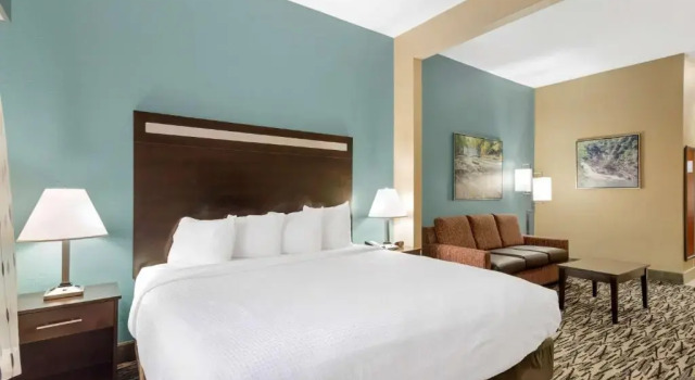 Люкс Best Western Plus McDonough Inn & Suites