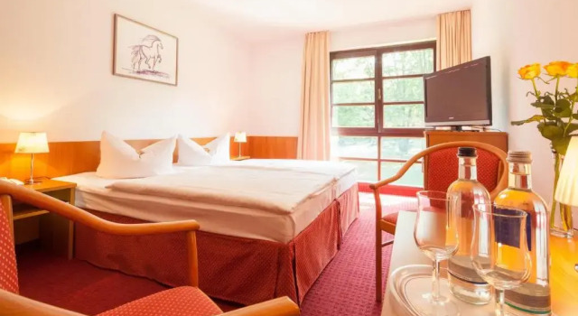 Двухместный номер Standard Kim Hotel Im Park