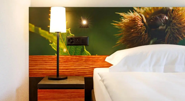 Трёхместный номер Hotel Bellinzona Sud Swiss Quality