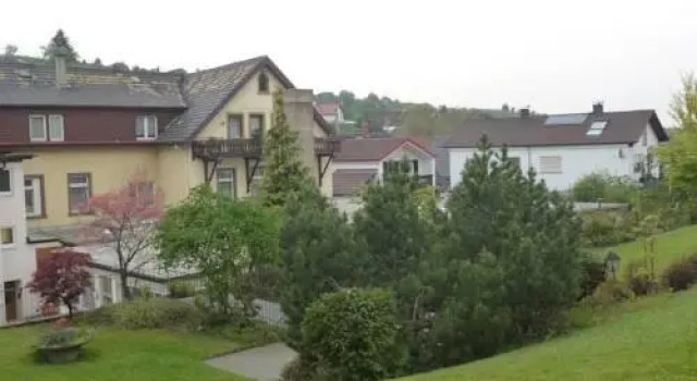 Hotel Grüner Baum