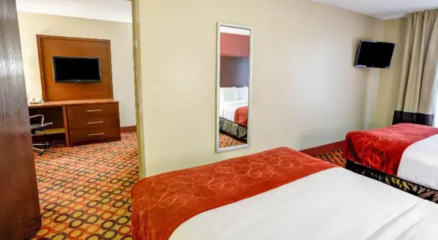 Четырёхместный люкс c 1 комнатой Charlotte Suites