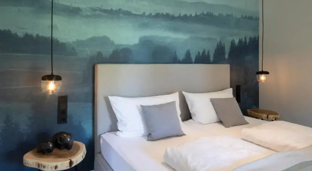 Двухместный номер Standard Hofgut Wißberg - Das Weinberghotel